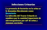 Infecciones urinarias clase