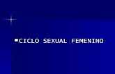 Ciclo Sexual Femenino