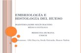 Embriología e histología del hueso UNSCH