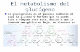 El metabolismo del glucógeno