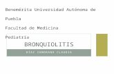 Bronquiolitis pediátrica