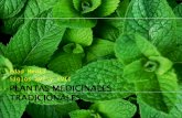 Plantas medicinales tradicionales