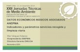 Grupo de Trabajo: "Datos económicos básicos asociados Anepma, indicadores y parámetros servicios de recogida y limpieza viaria". Pilar Vázquez Palacios, ANEPMA