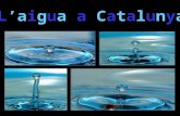 L'aigua a Catalunya