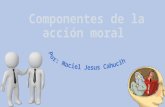 Componentes de la acción moral