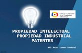 Presentacion patentes