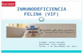 Inmunodeficiencia felina (vif)