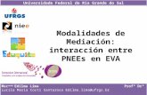 Modalidades de Mediación: interacción entre PNEEs en EVA