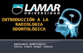 Introducción a la radiologia odontologica