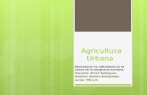 Agricultura urbana terminado-