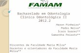 Manejo da paciente gestante na odontologia - CO2 - FAMAM - Prof. Ícaro Augusto