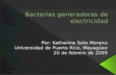 Bacterias Generadoras De Electricidad