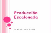 Presentacion produccion escalonada97