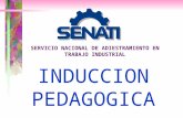 Inducion pedagogica