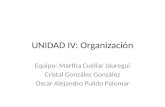 Unidad iv organizacion.pptx; principios de la administracion