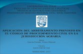 Tesis maestría de derecho procesal civil (presentación)