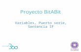 Variables, Puerto Serie, Sentencia IF- Proyecto BitABit