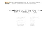 Analisis sistematico empresarial final.