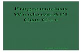Programación windows api con c++prev