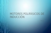 Motores polifásicos de inducción 97 03