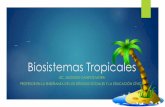 Tema # 2 biosistema tropical