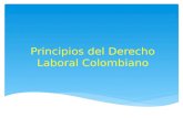 Principios del derecho laboral colombiano