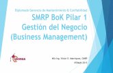 SMRP Cuerpo del Conocimiento Pilar 1 - Gestión del Negocio