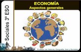 Principios sobre actividad económica
