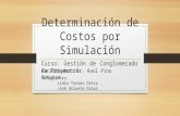 Determinación de costos por simulación
