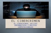 El cibercrimen