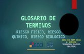 GLOSARIO DE TERMINIOS - RIESGOS-JOHN ERIK PEÑA