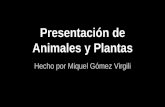 Presentación catellano animales y plantas