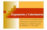 Clase de Ergometria y Calorimetria