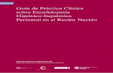 Guía de práctica clínica sobre Encefalopatía hipóxico-isquémica perinatal en recién nacido
