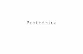 06 proteomica