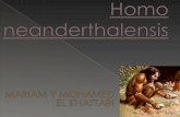 Homo Neanderthalensis