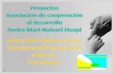 Proyectos Andra Mari Nahuel Huapi