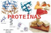 Proteinas 2nico 1