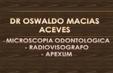 MicroscopíA OdontolóGica, RadiovisióGrafo Y Apexum