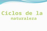 Quirolakaryn Ciclos De La Naturaleza