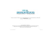 Insarag guidelines2012 spa_read_version