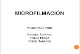 Proceso de microfilmacion