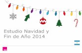 Estudio Navidad Argentina 2014