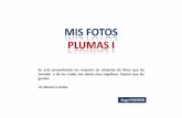 024 MIS FOTOS - PLUMAS I