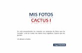 017 MIS FOTOS - CACTUS I