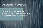 Apendicitis aguda Anatomía Patológica