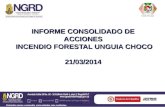 Informe Acciones Incendio Forestal Unguía Chocó