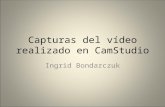 Capturas del vídeo tutorial filmado con CamStudio