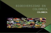 Biodiversidad en colombia