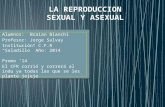 Reproduccion sexual-y-asexual